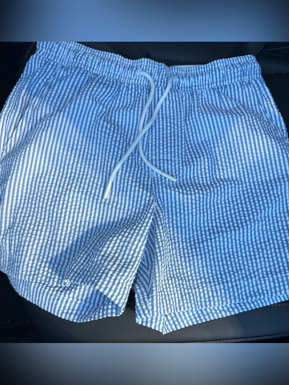 American Eagle Outfitters Blue & White Striped Seersucker Shorts